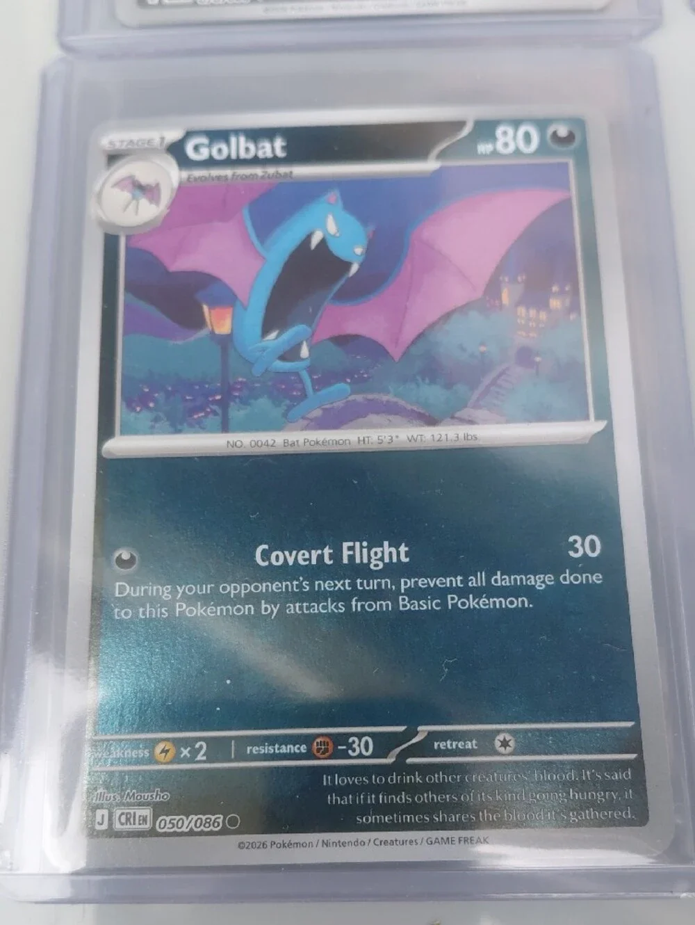 Trading Card Pack - Assorted Cards (Blue, Purple, Yellow, White)
